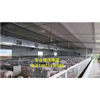 肇庆厂房降温