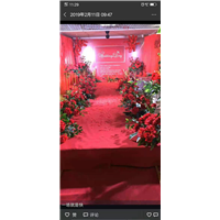 仪陇婚庆电话