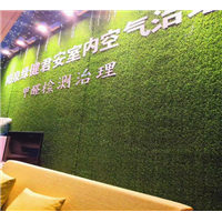 自贡除甲醛公司