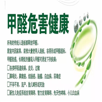 阳泉除甲醛哪家好