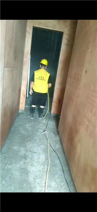 汕尾灭白蚁公司告诉你发现白蚁如何处理