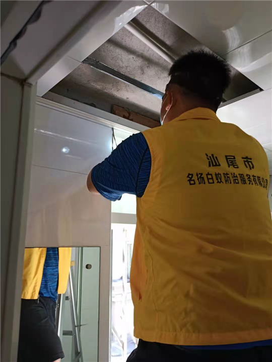 汕尾灭白蚁公司电话多少 