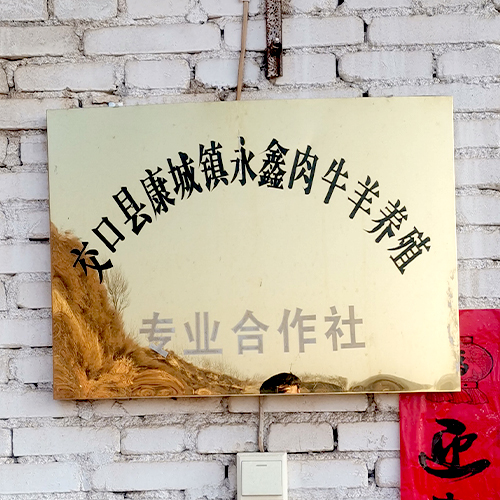 新鲜羊肉生态天然散养 