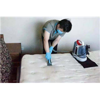贵州有实力的杀虫灭鼠公司 