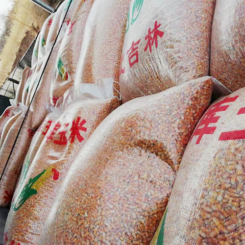 玉米收购农家粮食收购回收 