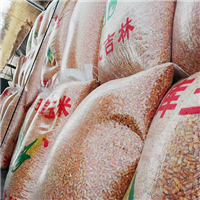 玉米收购农家粮食收购回收