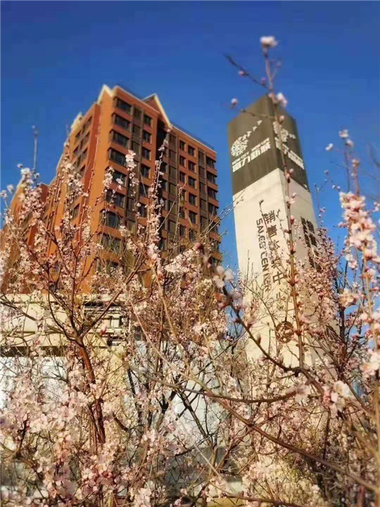 富力新城 