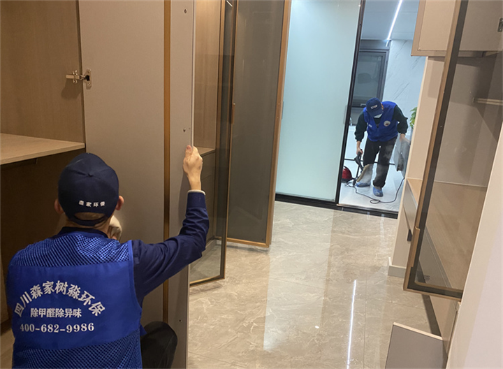 别墅除甲醛施工