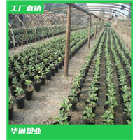 湖南轻基质网袋容器 
