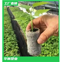 江西轻基质网袋容器 