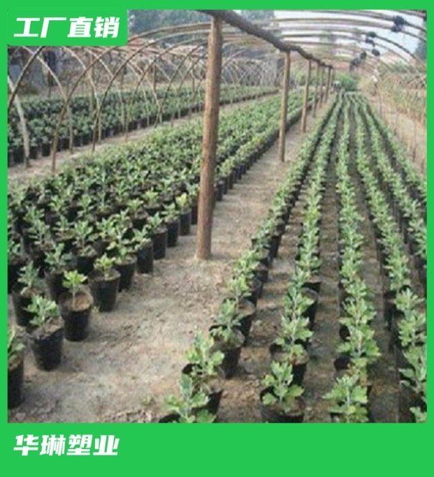 湖南轻基质网袋容器 