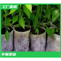河南育苗无纺布袋生产厂家 