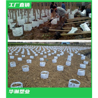 无纺布育苗袋订制厂家 
