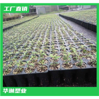 安徽轻基质网袋厂家直销 