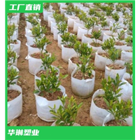 湖北育苗无纺布袋订做 