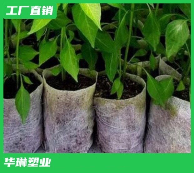 河南育苗无纺布袋生产厂家 