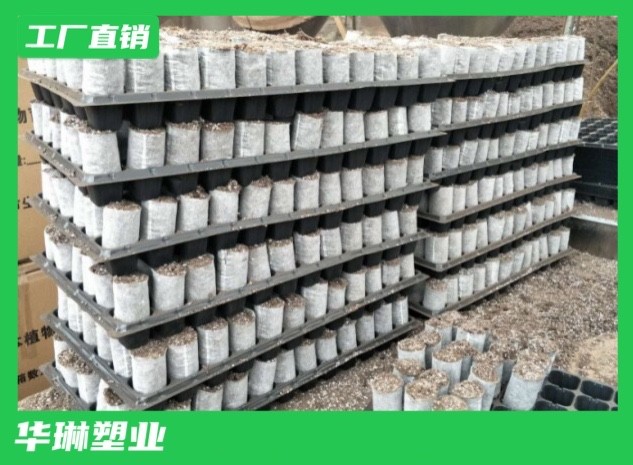 湖北轻基质网袋容器订做 