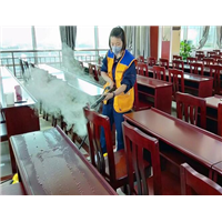 射洪除甲醛 