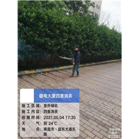 南昌除老鼠
