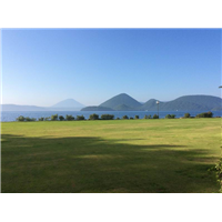 广东绿化草坪基地