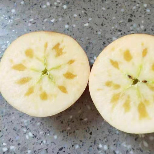 苹果水果新鲜当季水果冰糖心 
