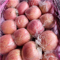 冰糖心苹果营养健康美味 