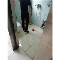 厕所免砸砖防水 