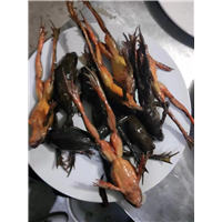 本溪老边沟农家院哪家好