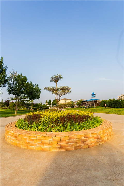 安阳陵园墓地风景展示