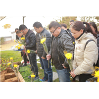 安阳陵园公墓公益树葬活动在安阳福寿园举行