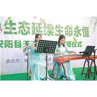 安阳陵园公墓闹元宵逛庙会猜灯谜