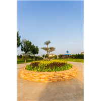 安阳陵园墓地风景展示