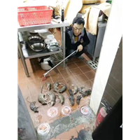 福州灭鼠、福州灭白蚁 