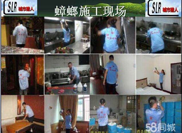 福州灭蟑螂、福州杀虫