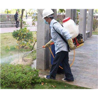 福州灭鼠灭蟑螂公司电话