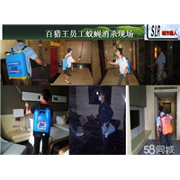 福州灭鼠公司、福州除四害