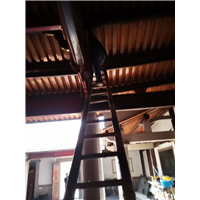 福州白蚁防治