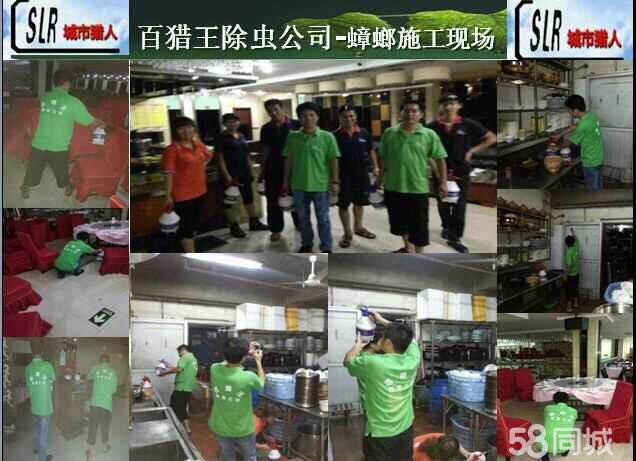 福州灭鼠、福州灭白蚁 