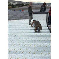 沈阳防水电话