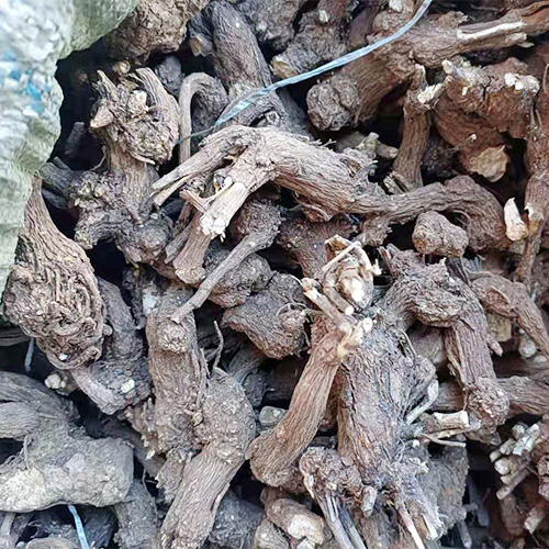 中药材正品原生态种植 