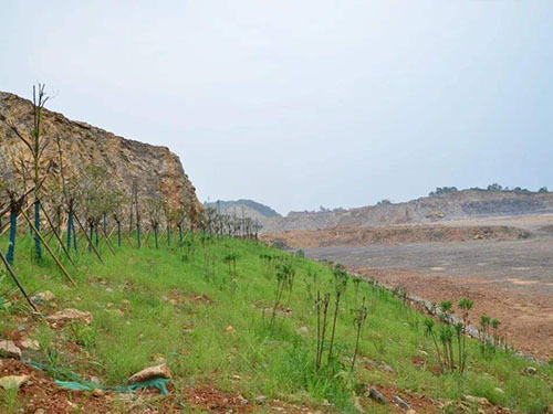 福建矿区复绿工程 