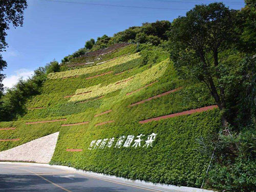 广东植被建设 