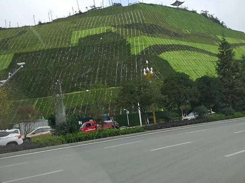 湖南山体绿化施工 