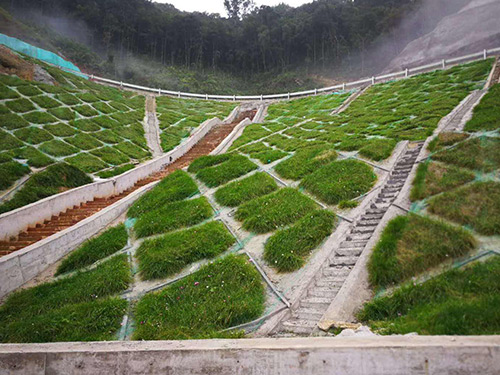 广东喷播植草施工 