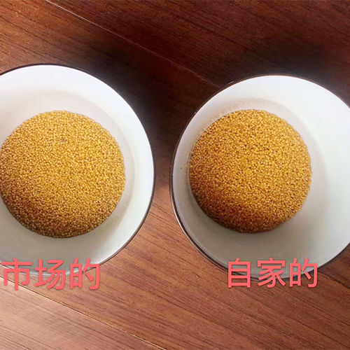 调节失眠小米健康自然软糯营养 