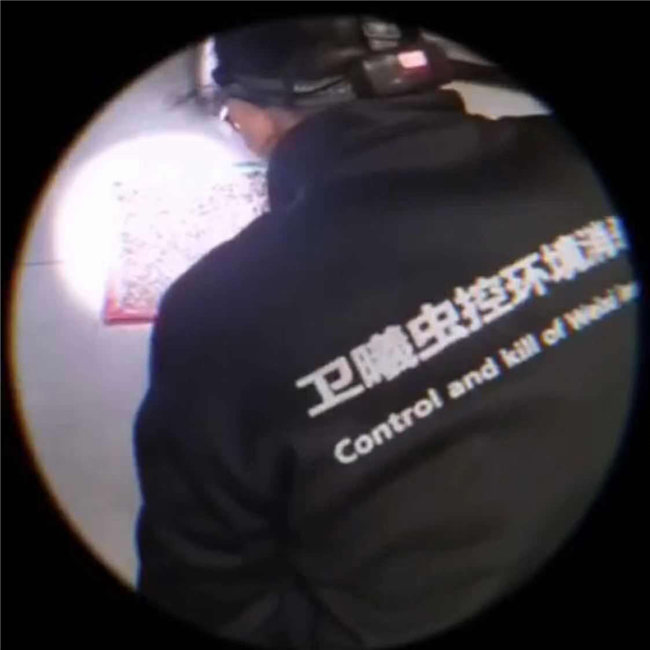 吴江消杀公司