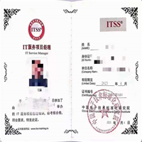 新疆IT服务工程师证书