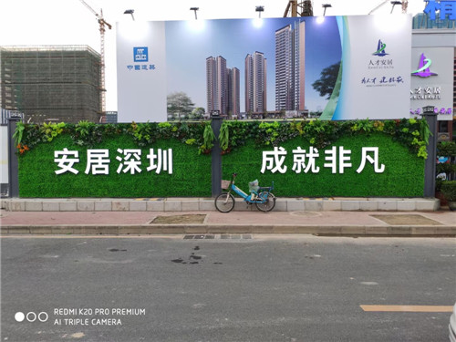 深圳室内绿植装饰