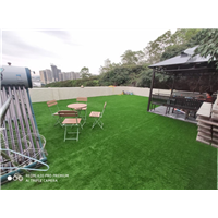 深圳绿植墙
