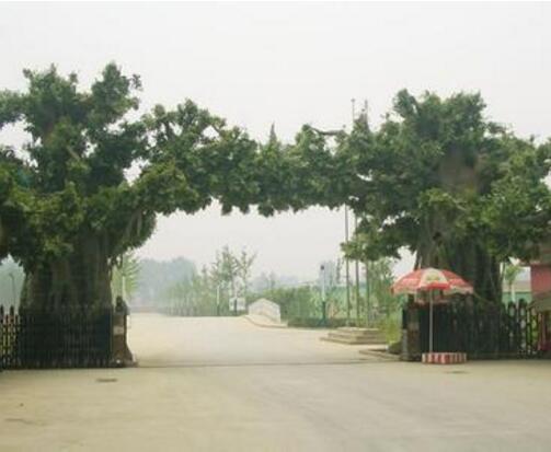 深圳假山塑石h深圳假山塑石设计